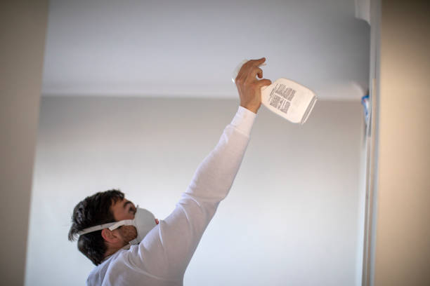 Trusted Temple City, CA Mold Removal Experts